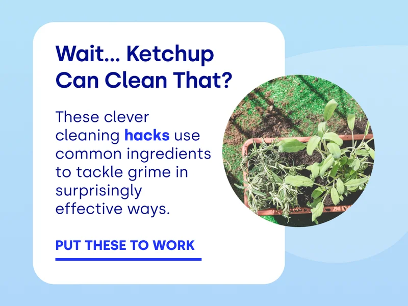 Wait… Ketchup Can Clean That? These clever cleaning hacks use common ingredients to tackle grime in surprisingly effective ways. PUT THESE TO WORK