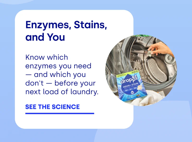 Enzymes, Stains, and You Know which enzymes you need — and which you don't — before your next load of laundry. See The Science