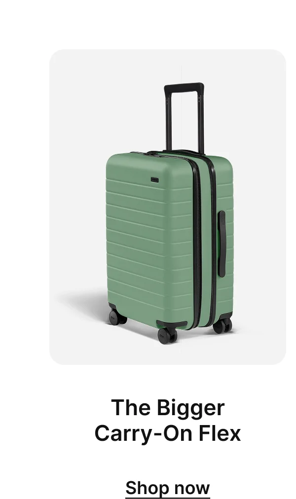 The Bigger Carry-On Flex