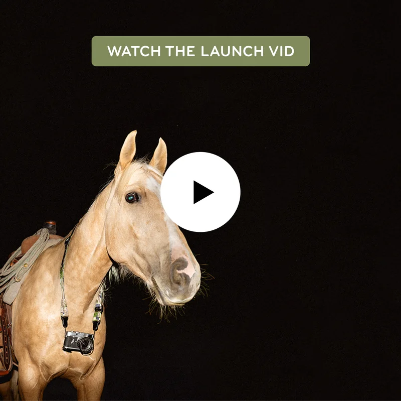 A link to our YouTube video for the launch.