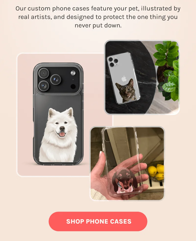 Shop Phone Cases