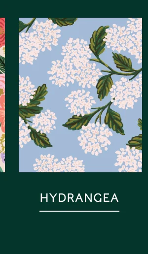 30% Off Hydrangea