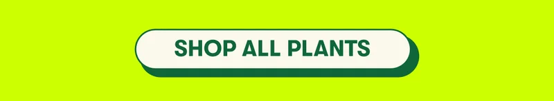 [SHOP ALL PLANTS]