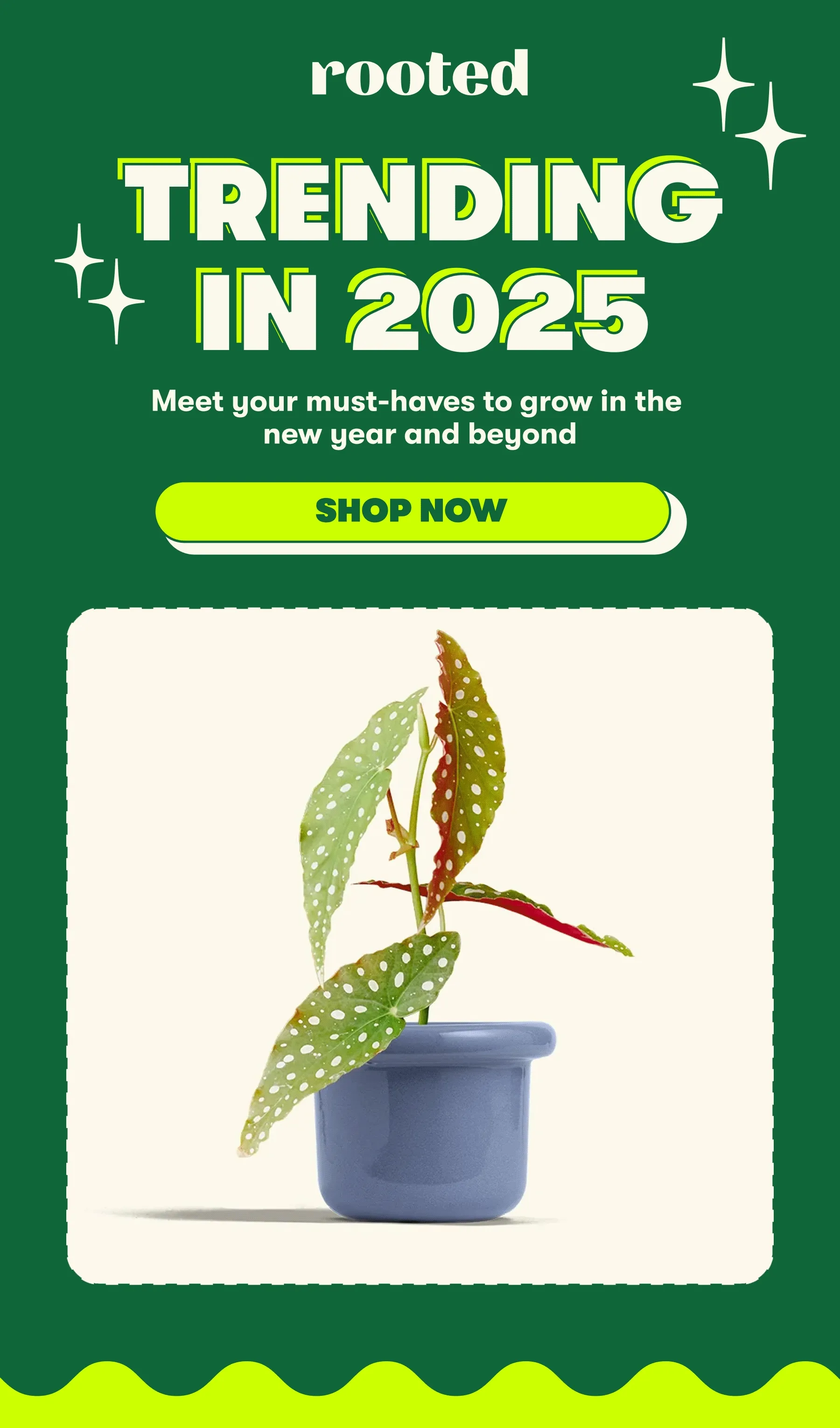 TRENDING IN 2025 Meet your must-haves to grow in the new year and beyond [SHOP NOW]