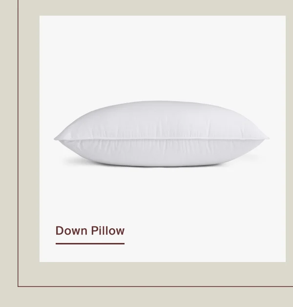 Save on Down Pillow