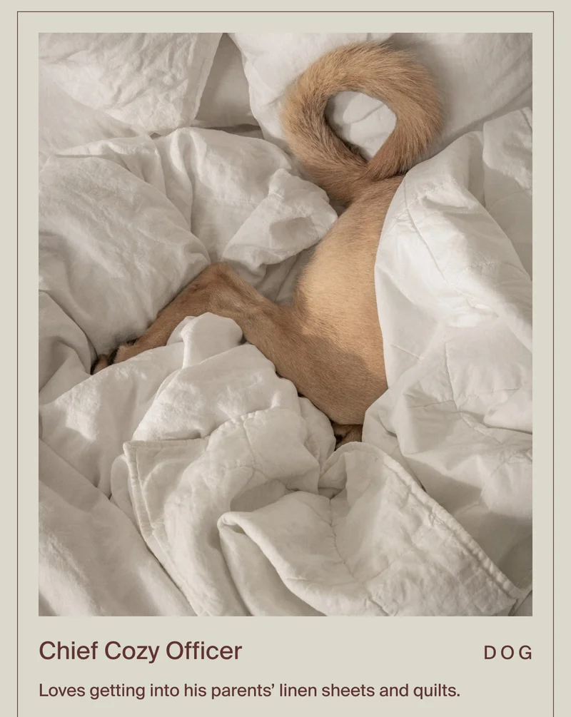 Save on all Linen Bedding