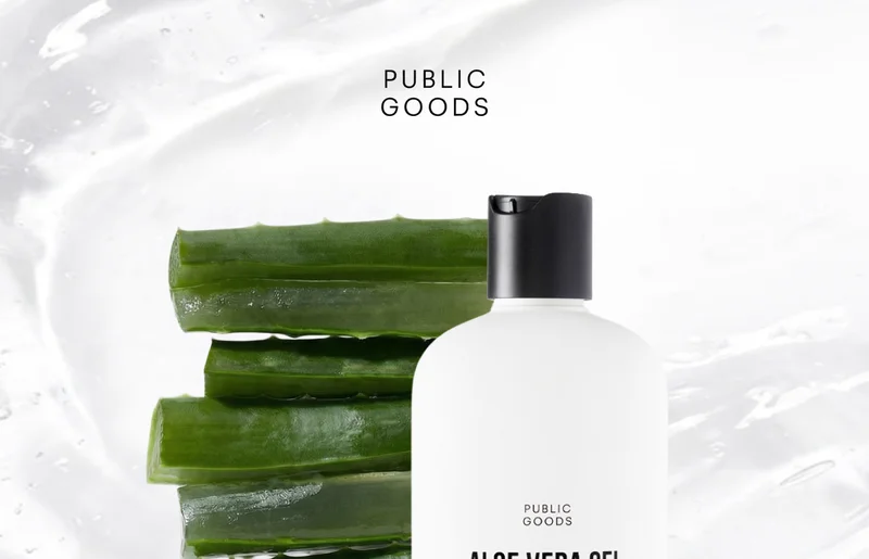 Aloe Vera Gel should be made with Aloe Vera. That's it.