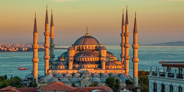 image-to-translate-9VmAYmUF8R