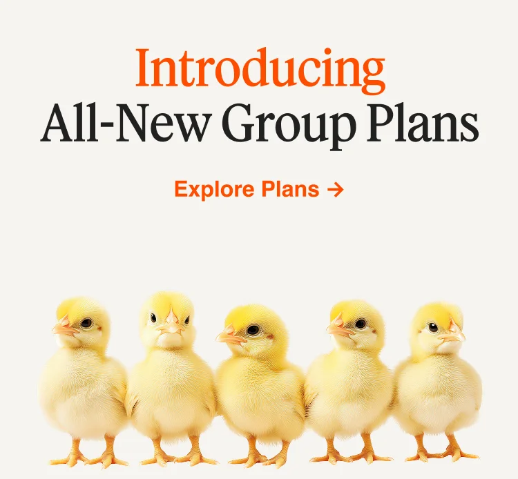 Introducing All-New Group Plans