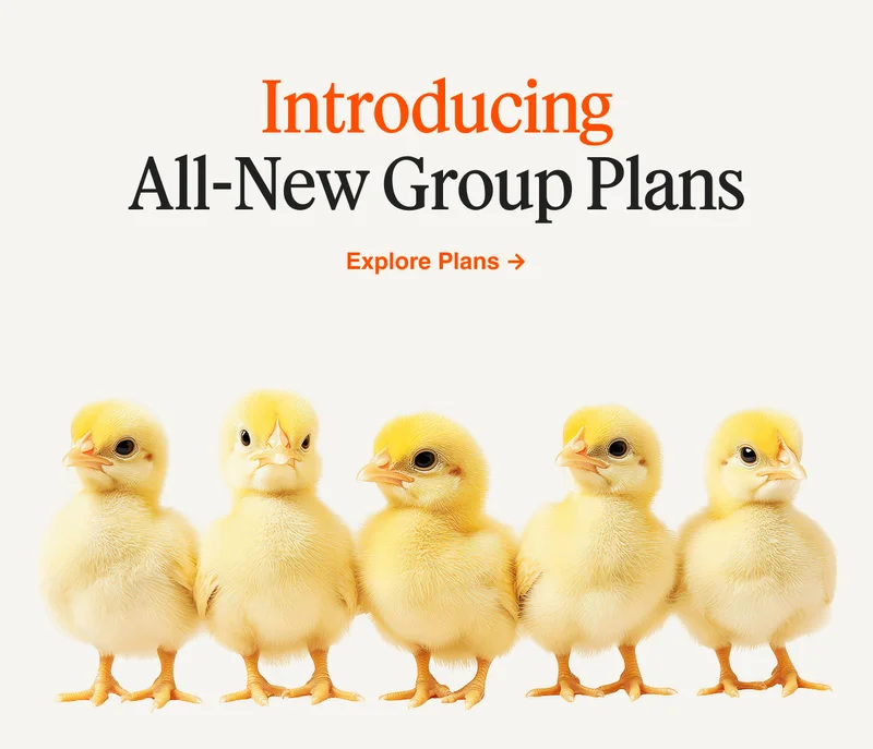 Introducing All-New Group Plans