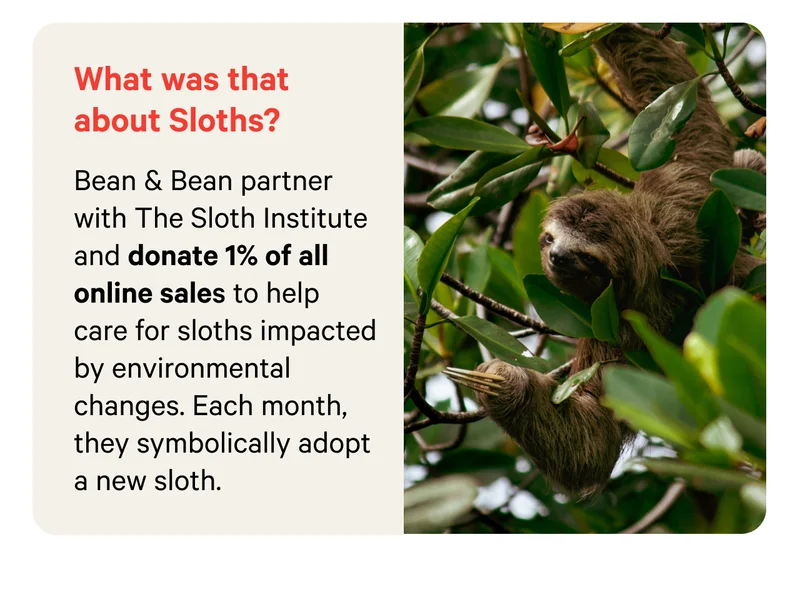 What was that about sloths?