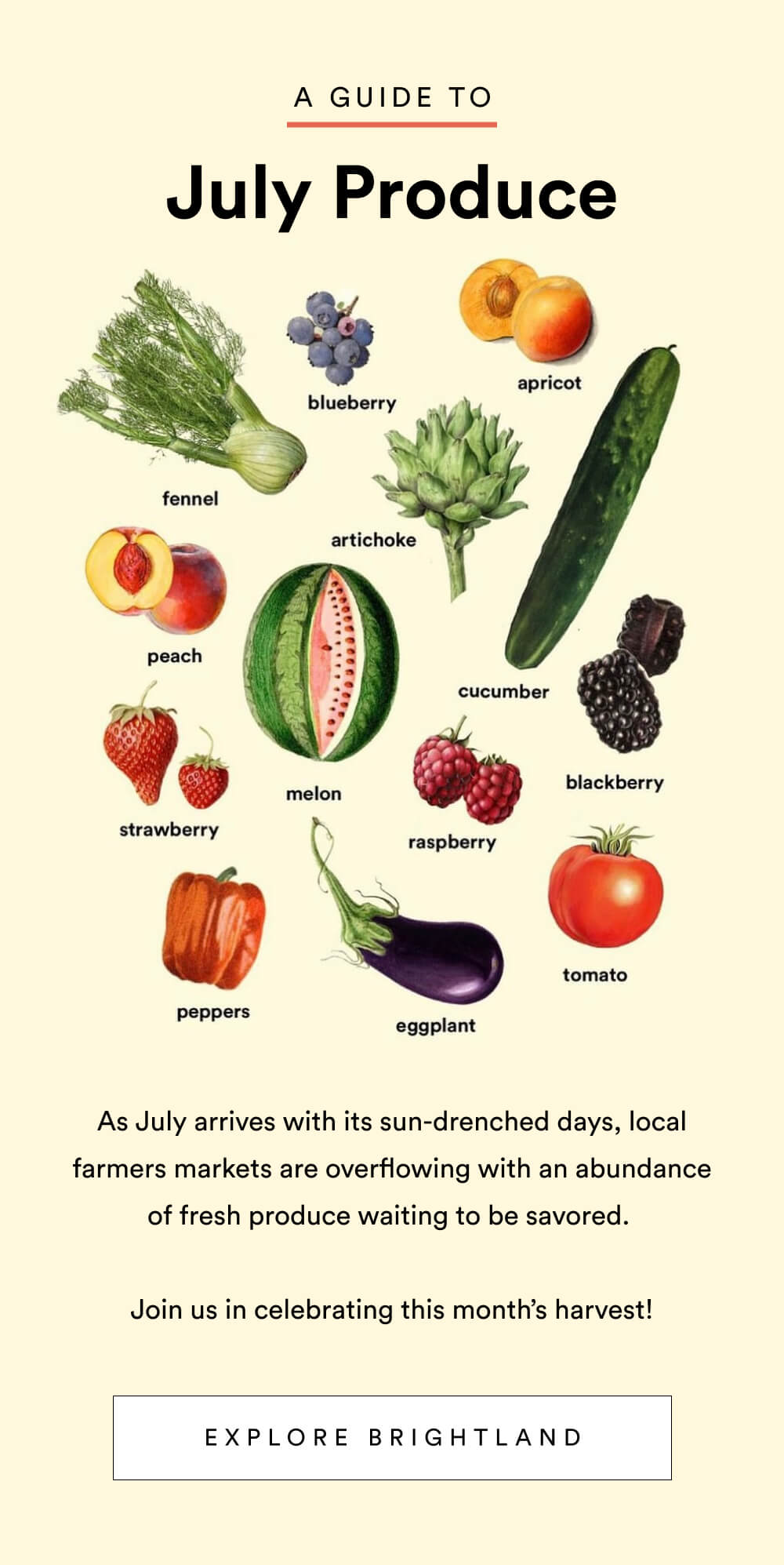 Your Guide to July Produce [ Explore Brightland ]