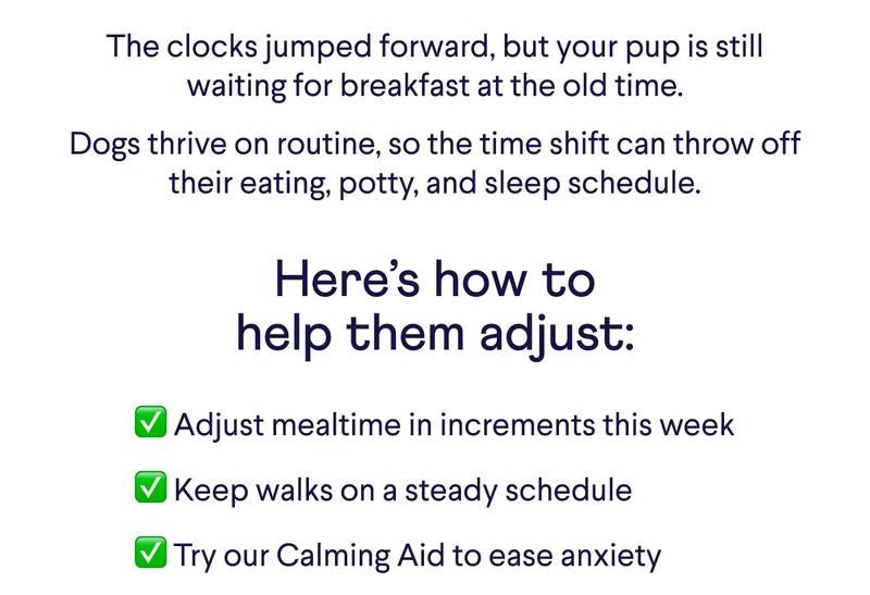 The clocks jumped forward, but your pup is still waiting for breakfast at the old time. Dogs thrive on routine, so the time shift can throw off their eating, potty, and sleep schedule. Here’s how to help them adjust: ✅ Adjust mealtime in increments this week ✅ Keep walks on a steady schedule ✅ Try our Calming Aid to ease anxiety