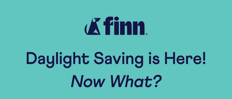 Finn: Daylight Saving is Here! Now What?