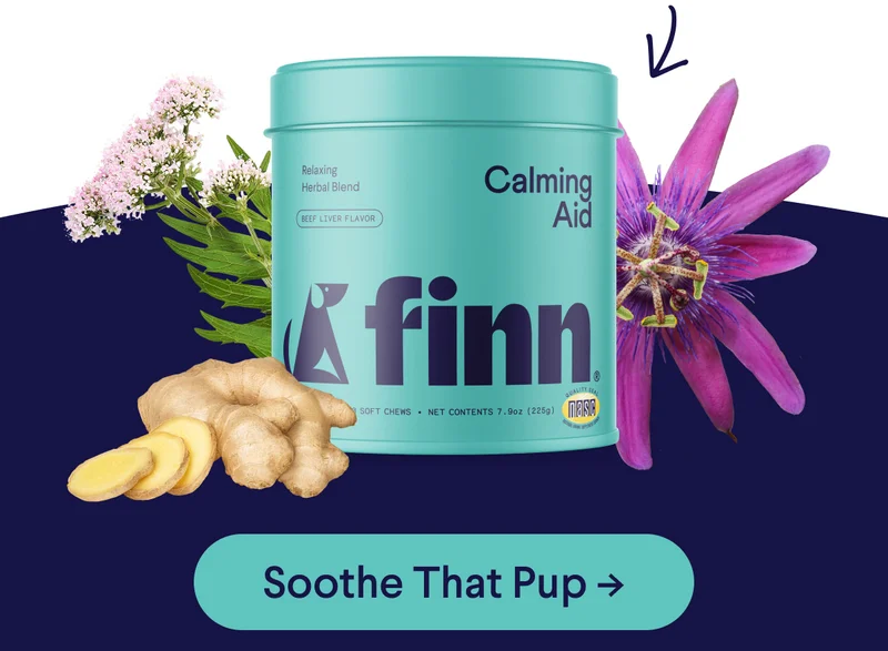 Calming Aid with natural relaxing herbs | Soothe That Pup –>