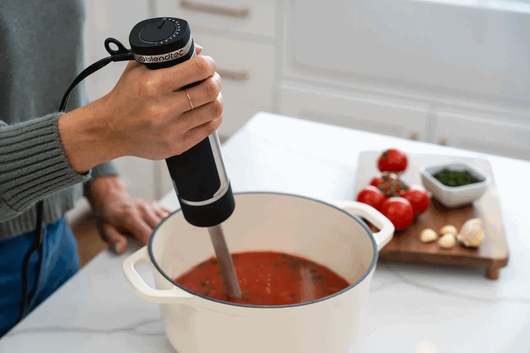 Immersion Blender