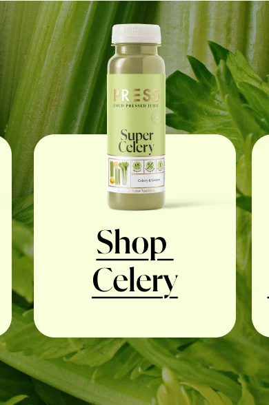 SHOP CELERY