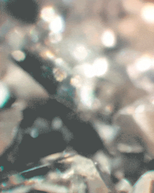 Swarovski X Loop earplugs