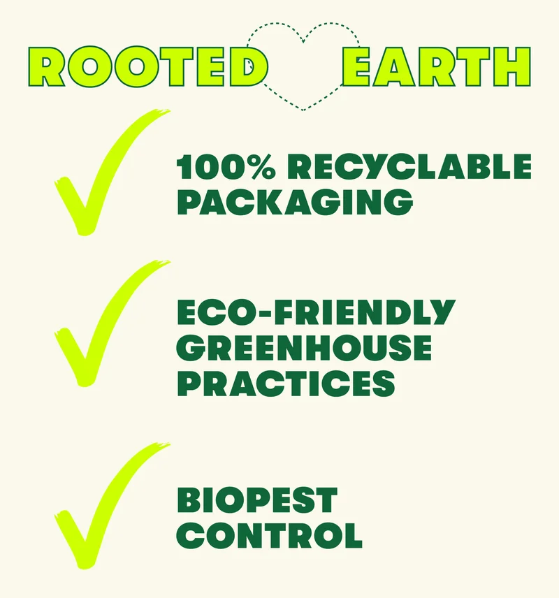 ROOTED ❤️ EARTH ✅ 100% recyclable packaging ✅ Eco-friendly greenhouse practices  ✅ Biopest control