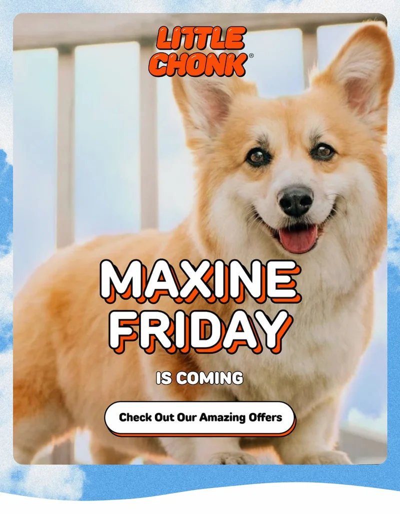 MAXINE Friday IS COMING