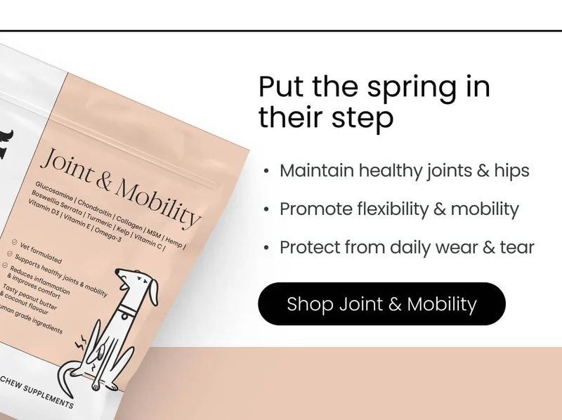 Shop Joint & Mobility