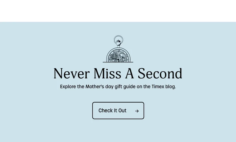 Check It Out - Timex