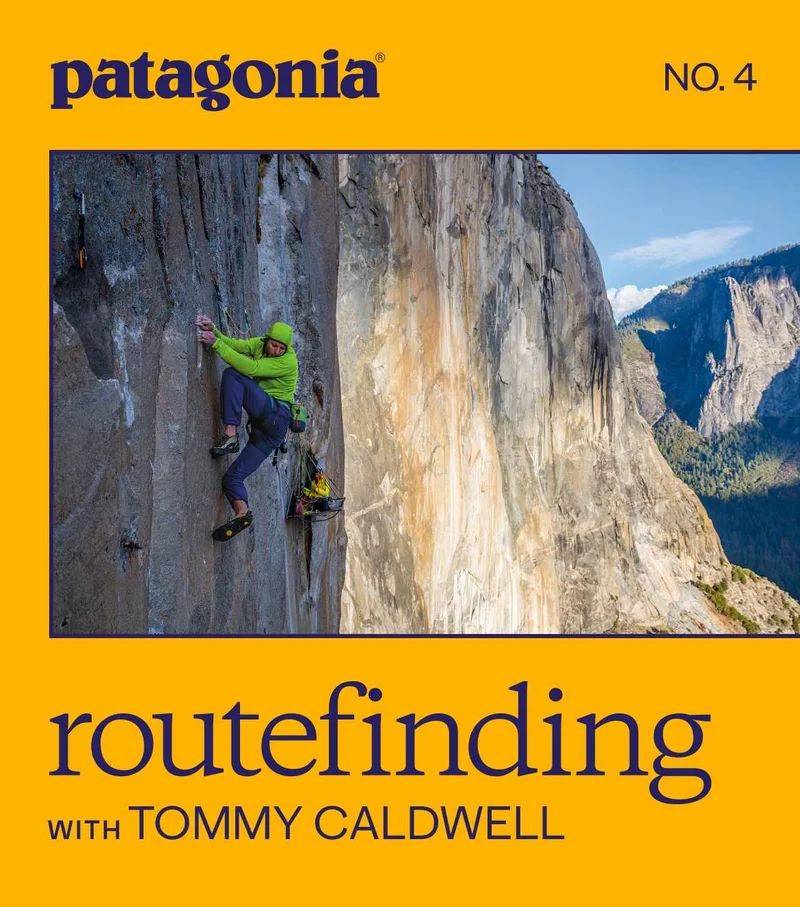 A person climbing on a wall.