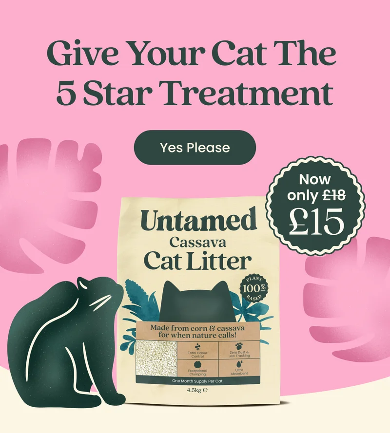 Give your cat the 5 Star Treatment