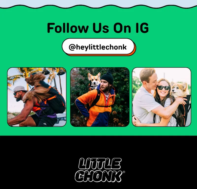 Follow us on IG
