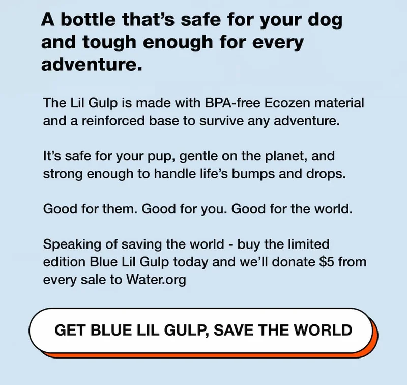 Get Blue Lil Gulp, Save The World