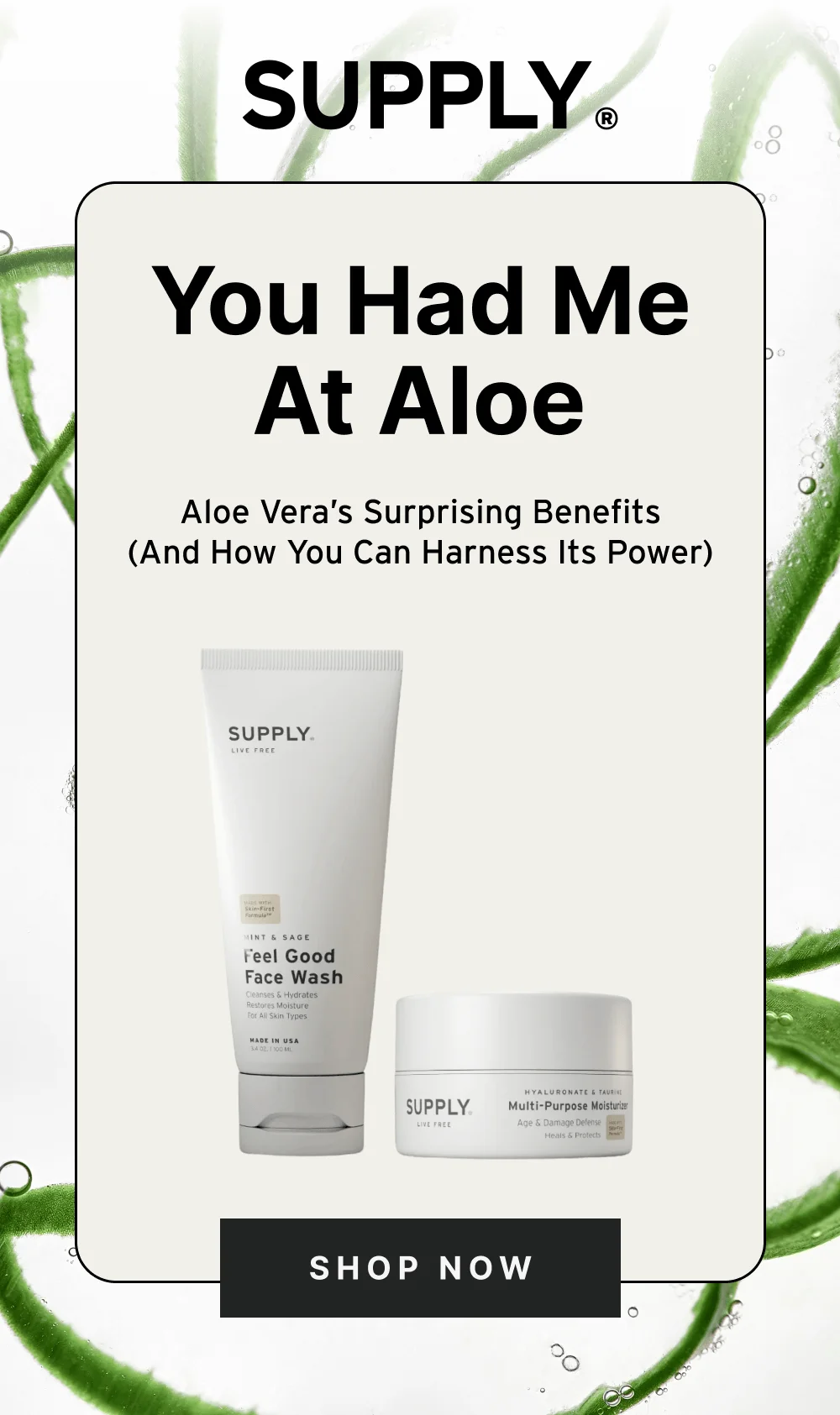 You Had Me At Aloe [ Shop Now ]