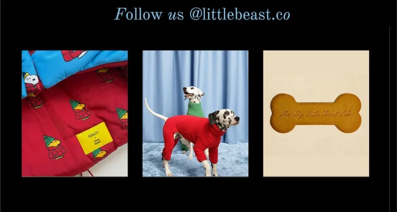 Follow us @littlebeast.co