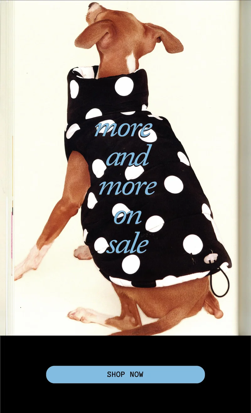more and more on sale