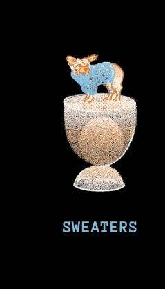 Sweaters