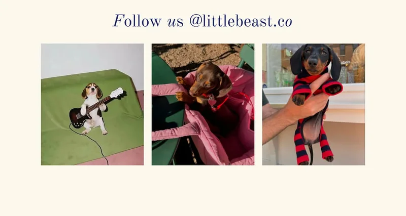 Follow us on Instagram