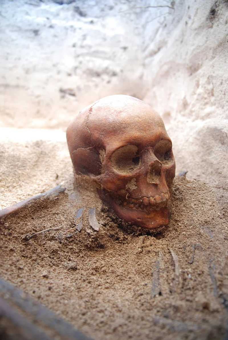 The skull of a Batavia survivor excavated on Beacon Island. Archaeologists recently revealed a mass grave on the remote island off western Australia containing the graves of a dozen people who likely died from thirst or disease in 1629 before mutineers seized control.