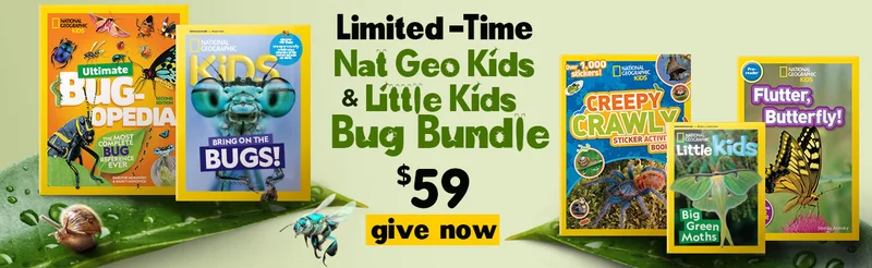 OPEN THEIR WORLD TO WONDER - GIVE THE GIFT OF NATIONAL GEOGRAPHIC.