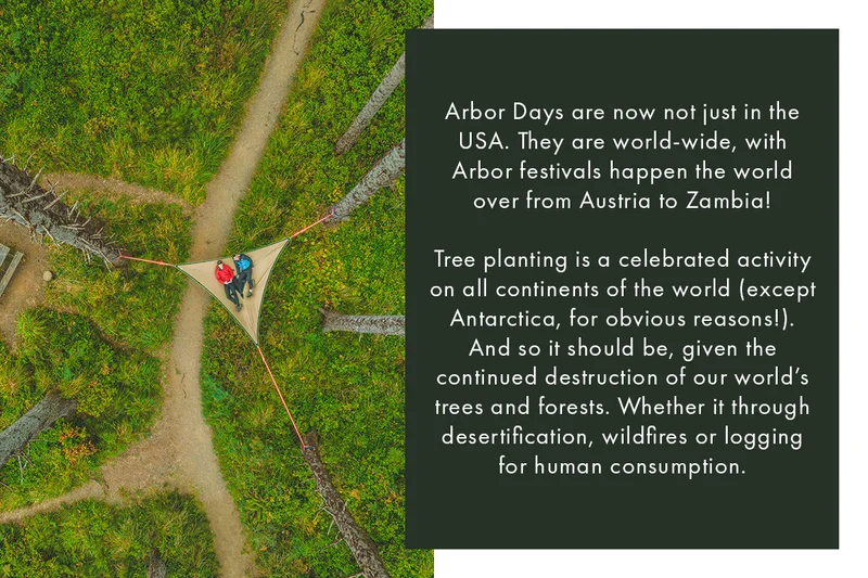 Arbor Day Blog pt.3