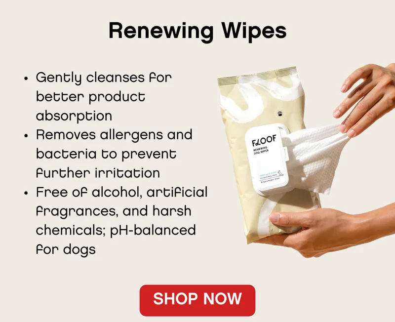 Floof Renewing Wipes