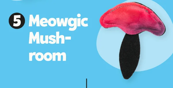5. [Meowgic Mushroom] (https://shop.meowbox.com/products/meowlecular-magic-cat-toy-set-3-pack)