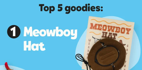 **Top 5 goodies:**  1. [Meowboy Hat](https://shop.meowbox.com/products/meowboy-wearable-cat-toy)