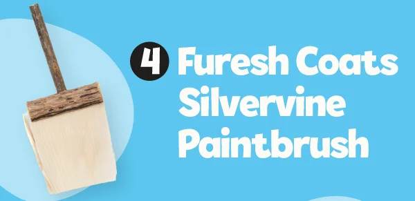 4. [Furesh Coats Silvervine Paintbrush](https://shop.meowbox.com/products/furesh-coats-silvervine-paintbrush-toy?_pos=1&_sid=957a1d994&_ss=r)