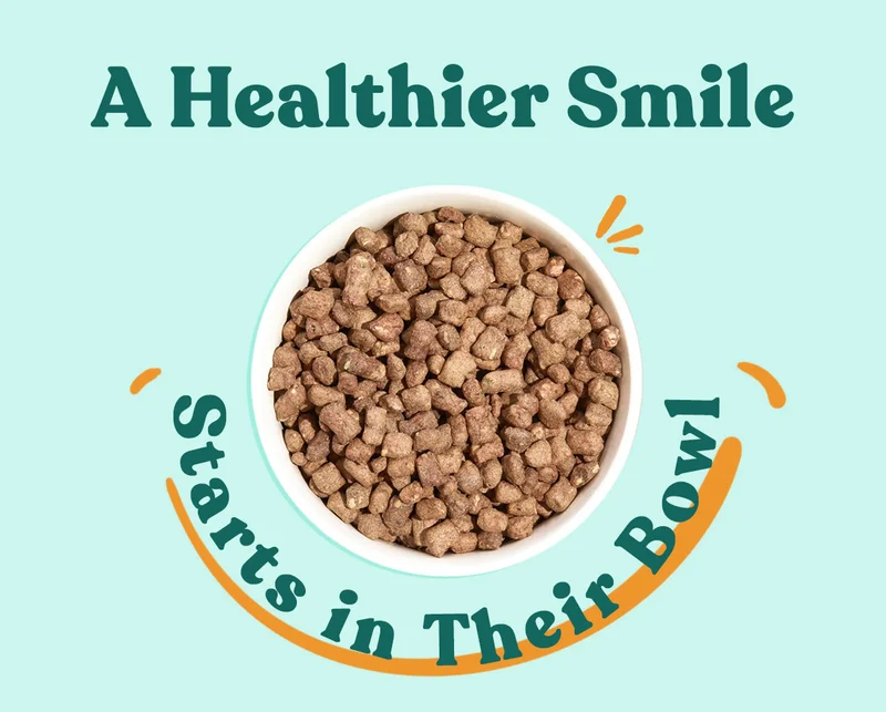 A Healthier Smile Starts In Their Bowl