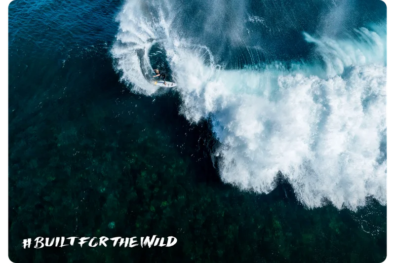 Built For The Wild