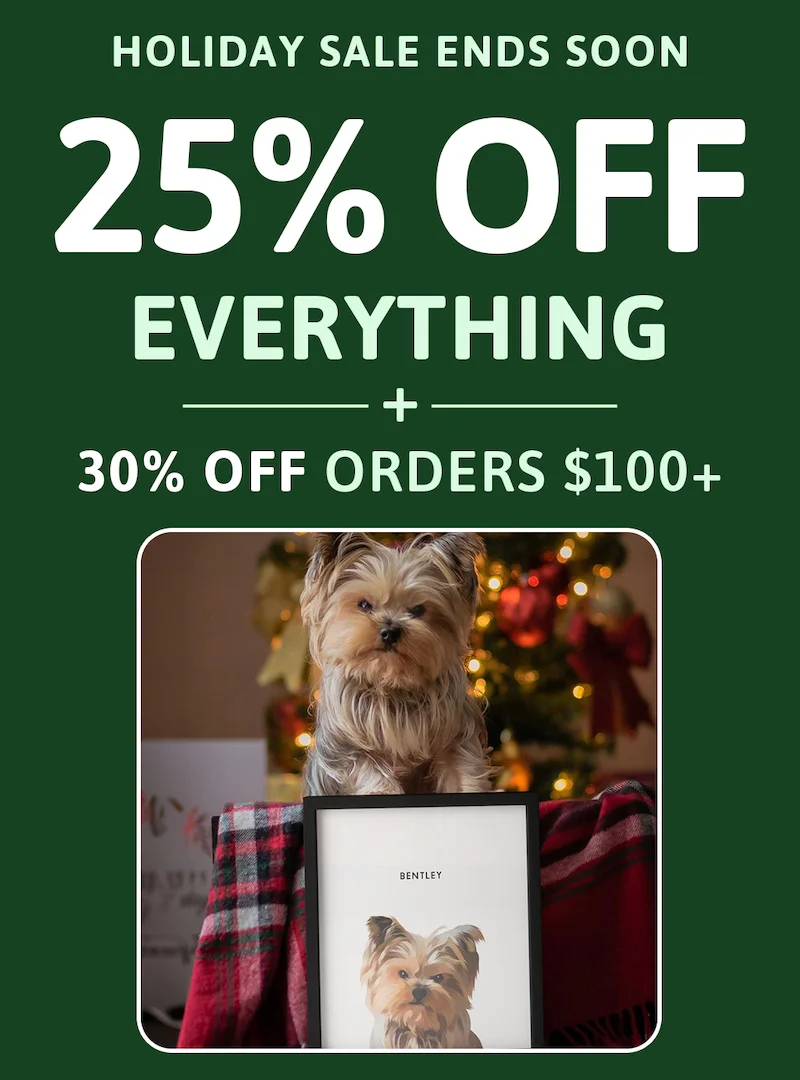 Holiday sale ends soon. 25% off everything. 30% off orders $100+
