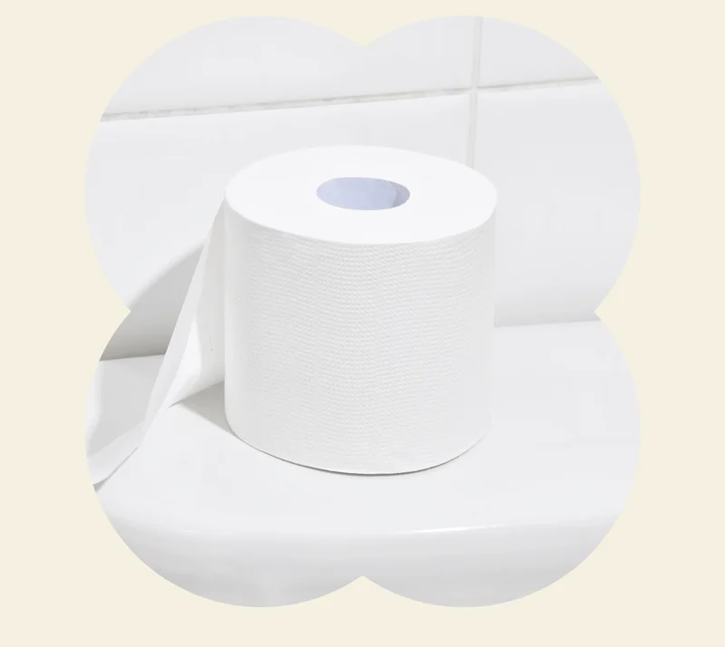 Image: Who Gives A Crap Bamboo Toilet Paper