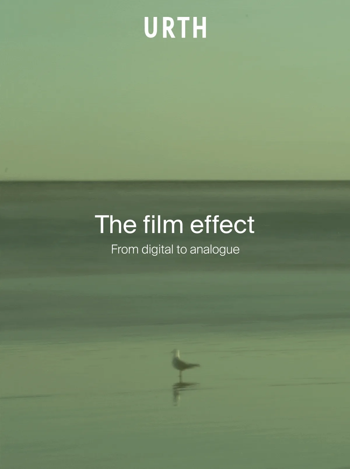The film effect – From digital to analogue