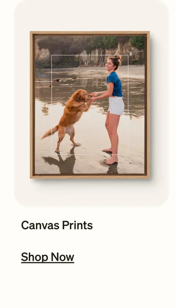 $10 8x8 photo books and up to 50% off everything ends tonight!