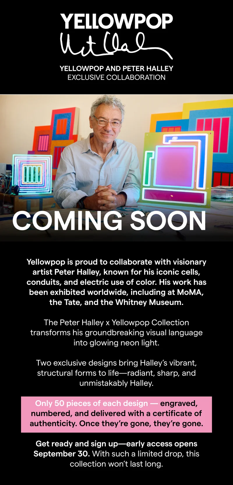 Peter Halley Coming Soon