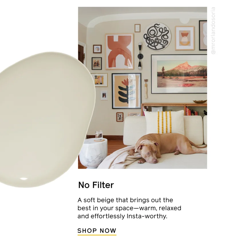 No Filter. A soft beige that brings out the best in your space—warm, relaxed and effortlessly Insta-worthy. SHOP NOW